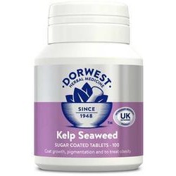 Dorwest - Mořská řasa Kelp - 100 tbl