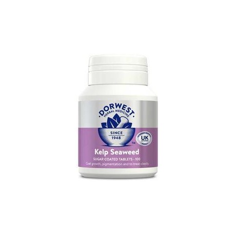 Dorwest - Mořská řasa Kelp - prášek - 250 g