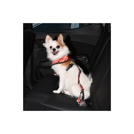 BAXTER SEATBELT PÁS PRO PSY DO AUTA - ORANŽOVÁ