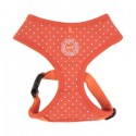 DOTTY HARNESS II A KŠÍRY PRO PSY - ORANŽOVÁ