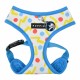 Dotty Harness II A kšíry pro psy - modrá