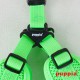 NEON SOFT HARNESS C KŠÍRY - ZELENÁ